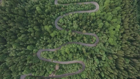 Aerial top view above Transbucegi winding road, in Transylvania	 Stock Footage 247006645