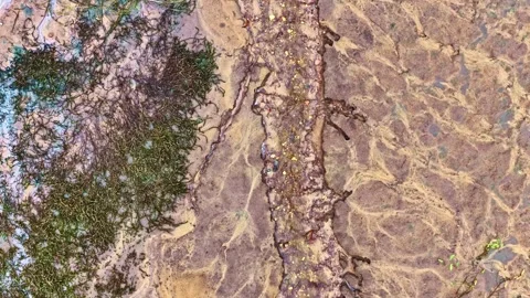 Aerial top view of abstract sand and mud texture with green seaweed Stock Footage 333097386