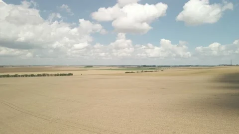 Aerial Top View Of A Agriculture Fields. Aerial View Of A Wheat Fields Stock Footage 212404530