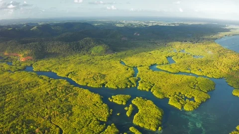 Aerial Top View of Amazon rainforest and river in Brazil Stock Footage