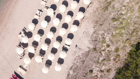 Aerial Top View of Beach Umbrellas and Loungers by Sandy Dunes in Sardinia Stock Footage 339376994