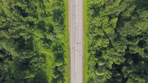 AERIAL: Top view on the beatiful forest highway with car movement. Video stock 78034653