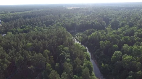 Aerial top view of beautiful forest, river bend, wildlife, drone shot Video stock 112222953