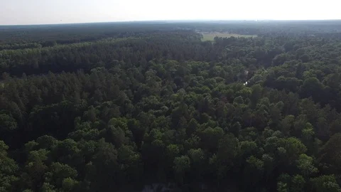 Aerial top view of beautiful forest, river bend, wildlife, drone shot 库存影片 112222954