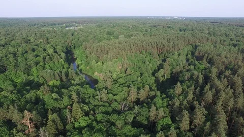Aerial top view of beautiful forest, river bend, wildlife, drone shot 動画素材 112222980
