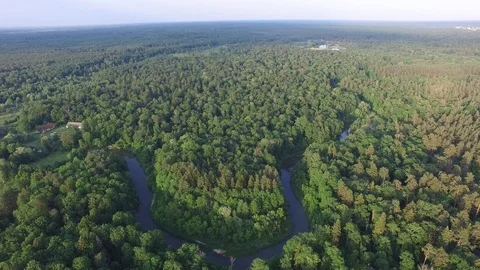 Aerial top view of beautiful forest, river bend, wildlife, drone shot 動画素材 112223030