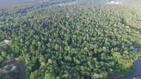 Aerial top view of beautiful forest, river bend, wildlife, drone shot Stock Footage 112223077