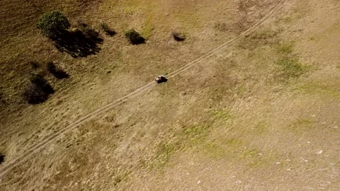 Aerial top view of buggy riding in the savannah look a like valley Stock Footage 141064717