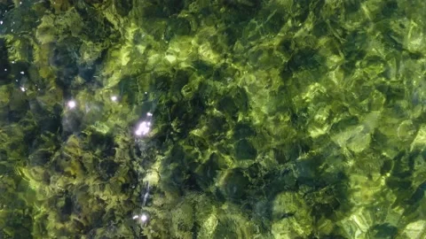 Aerial top view of the calm surface of clear sea water on a rocky reef with Stock Footage 214450539