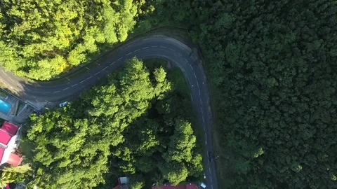 Aerial top of view of a car driving along road through the forest, Martinique Stock Footage 82655870