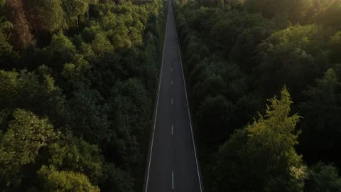 Aerial top view of a car road passing through a coniferous forest. Stock Footage 202841524