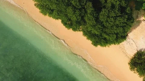 Aerial top view of clean beach with clear water and green trees Stock Footage 78539828