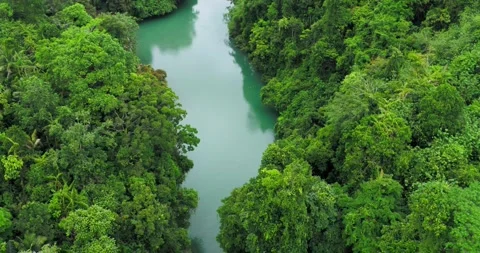 Aerial Top View of Clear River Flowing Over Rocks in Tropical Canyon 스톡 동영상 332350452
