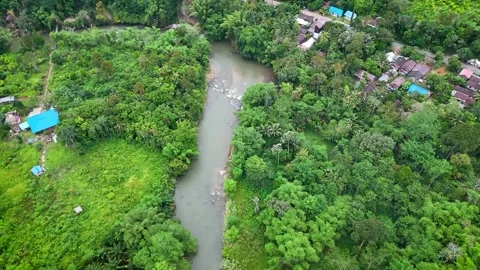 Aerial Top View of Clear River With Rocky Bed Through Tropical Rainforest Vidéo 335609344