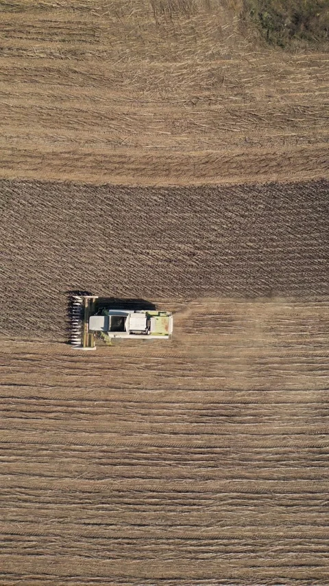 Aerial Top View of Combine Harvester Harvesting Sunflower Field in Autumn Stock Footage 346701320
