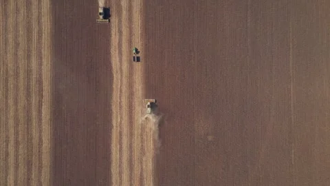 Aerial Top View of Combine Harvester Harvesting Large Field in Autumn Stock Footage 346703003