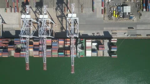 Aerial top view container ship Stock Footage 241116028