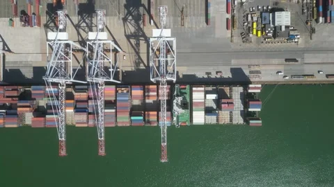 Aerial top view container ship Stock Footage 241117358