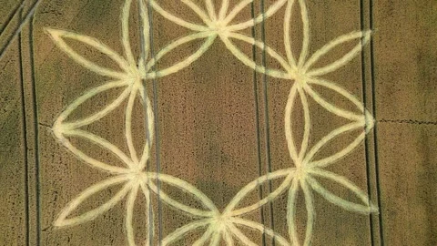 Aerial Top View Of Crop Circle In The Field Near Warminster, England - Stock Footage 246728574