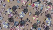 Aerial Top View Of Crowded Beach, People Lounging Under Sun Umbrellas Stock Footage