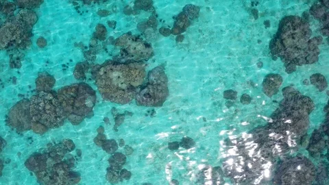 Aerial top view of the crystal clear lagoon sea water with coral reef Stock Footage 108323141