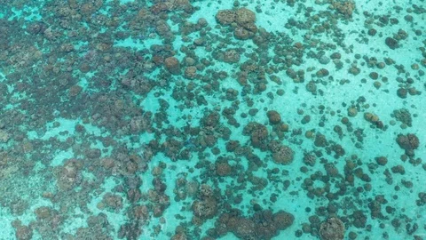 Aerial top view of the crystal clear lagoon sea water with coral reef Stock Footage 108323173