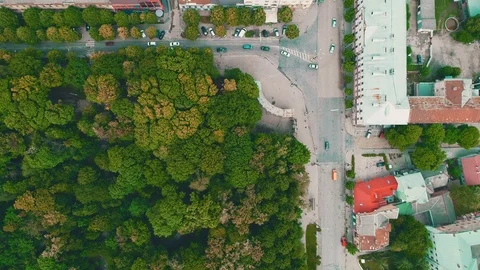 Aerial top view of dense planted town with fast cars moving. 4K. Stock Footage 110819653