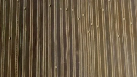 Aerial top view from the drone on the fields with haystacks Stock Footage 159677927