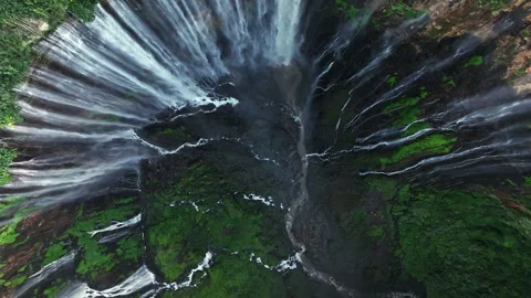 does rise of the resistance spin