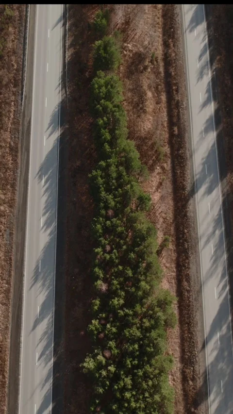 Aerial top view of empty divided highway with forest median in autumn light Stock Footage 335664197