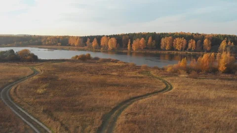 Aerial top view: flying over beautiful autumn bright forest and lake on sunny Stock Footage 104047582