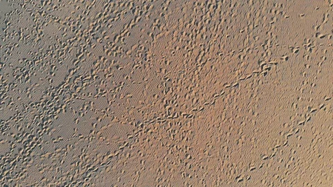 Aerial top view on footprints in the sand, Canary Islands, Gran Canaria Vidéo 108565754