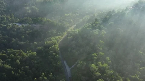 Aerial top view forest Stock Footage 146695447