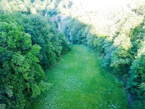 Aerial top view forest tree, Rainforest ecosystem and healthy environment Foto stock