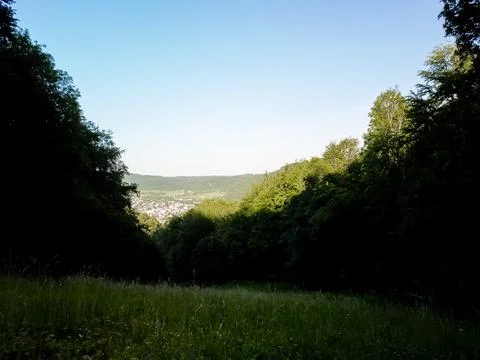 Aerial top view forest tree, Rainforest ecosystem and healthy environment 写真素材