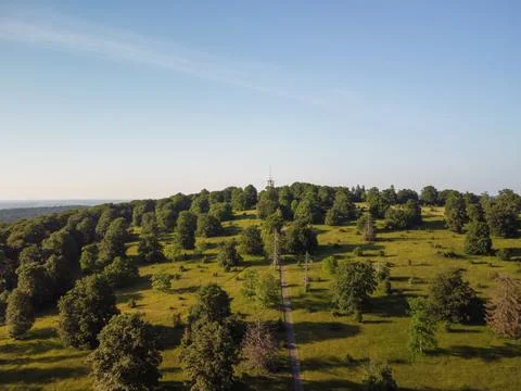 Aerial top view forest tree, Rainforest ecosystem and healthy environment Stock-Fotos