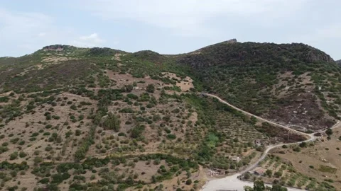 Aerial Top View, Forest Trees, Green Mountain Hills, Nature Landscape Stock Footage 223174434