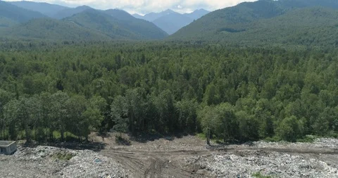 Aerial top view of garbage dump on a shore of forest lake. Ecological Problem Video stock 113325676