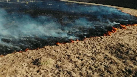 Aerial top view of a grass fire. Fly over Wild fire. Flying above burnt field Stock Footage 153142963
