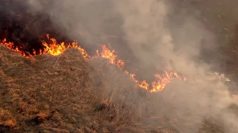 Aerial top view of a grass fire. Fly over Wild fire. Flying above burnt field Stock Footage 172400407