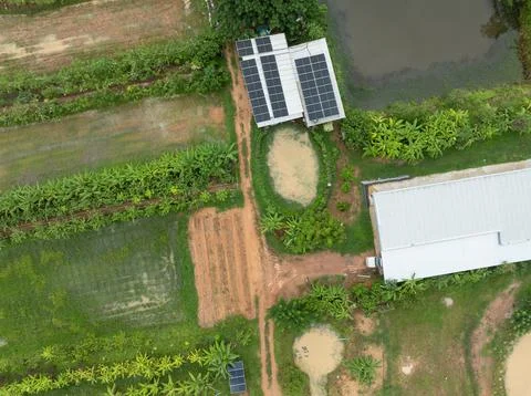 Aerial top view of integrated tropical farm with rooftop solar panels, comb.. Stock Photos