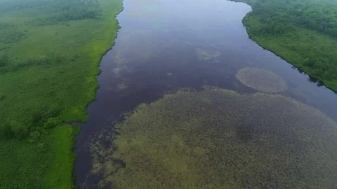 Aerial top view on lake shore Stock Footage
