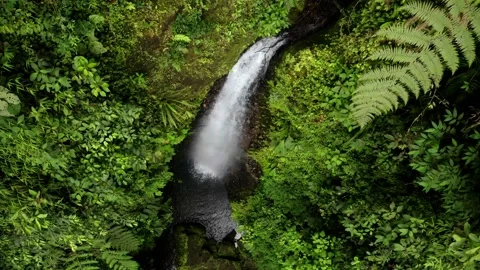 Aerial top view, a large waterfall found in a tropical paradise of Ecuador Stock Footage 151280939