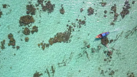 Aerial top view of long-tailed boat is sail on the emerald sea. Stock Footage 169067474