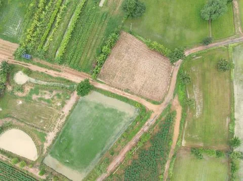 Aerial top view of mixed agricultural fields, rice paddies, irrigation pond.. Stock Photos