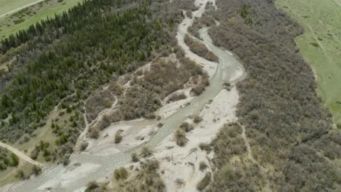 Aerial top view of a mountain river. Fir trees, green valley, snowy mountains Stock Footage 146519964