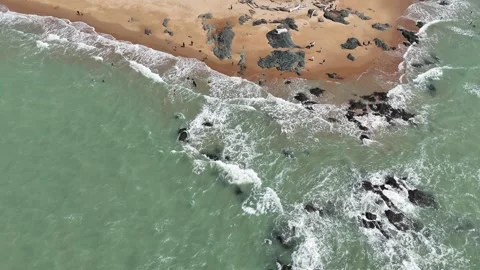 Aerial Top View of Ocean Waves Crashing on Sandy Beach with Rocks Stock Footage 331865558