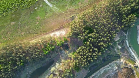 Aerial top view of pine forest with a small pond and green fields  Stock Footage 273629258