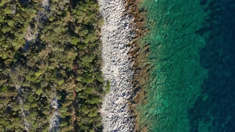 Aerial top view of pine tree forest, rocky shore, turquoise calm sea Stock-Footage 140094773