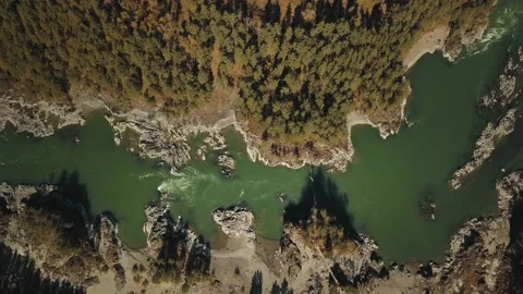 Aerial top view of the powerful flow of the mountain green river Katun. Chemal Stock Footage 149477625